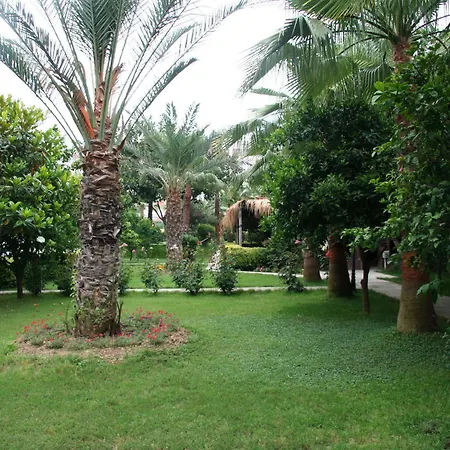 Курортный комплекс Elysee Garden Family Алания